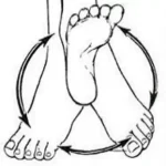 એંકલ સર્કલ (Ankle Circle)