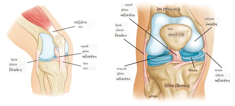 ઘૂંટણની ઇજાઓ