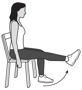 લેગ એક્સ્ટેંશન (Leg extension)
