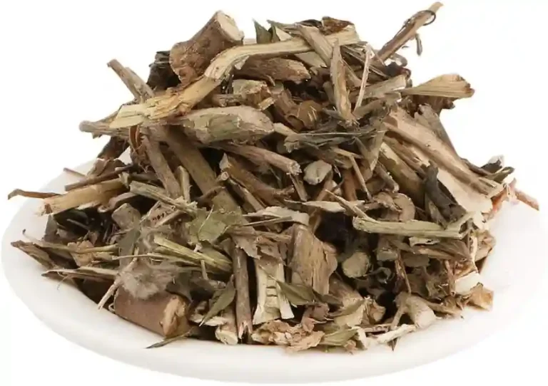 દશમૂળ
