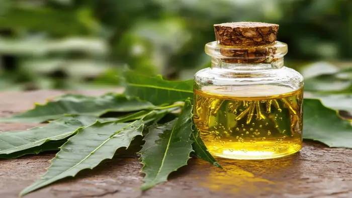 લીમડાનું તેલ (Neem Oil)