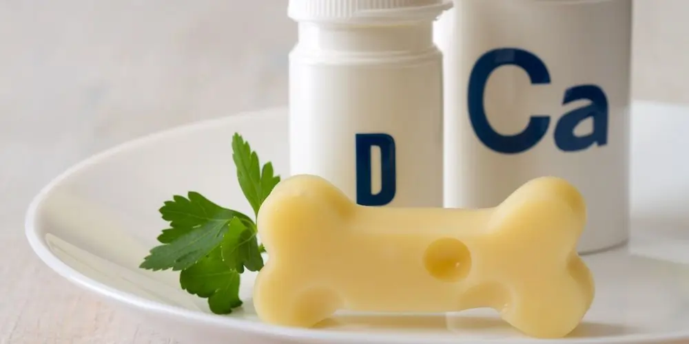 વિટામિન ડી અને હાડકાનું સ્વાસ્થ્ય