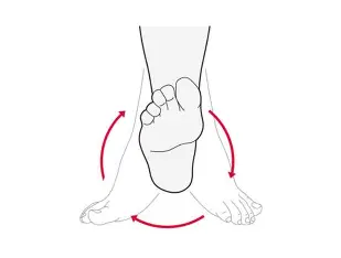Ankle Circles (પંજાને ગોળ ફેરવવા)