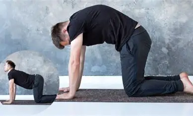 કેટ એન્ડ કેમલ કસરત