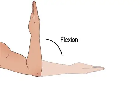 Elbow Flexion – કોણી વાળવી