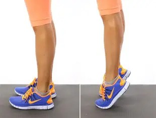 Heel Raises (એડી ઊંચી કરવી)