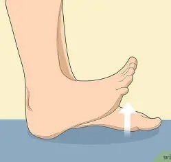 Toe Raises (એડી પર ઊભા રહેવું)