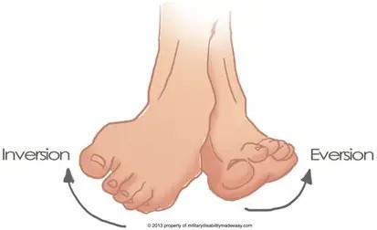 એંકલ ઈન્વર્ઝન (Ankle Inversion) પંજો અંદરની તરફ વાળવો