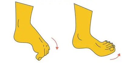 ટો કર્લ્સ (Toe Curls)