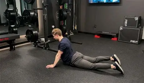 પ્રોન પ્રેસ અપ