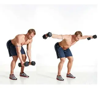 રિવર્સ ફ્લાય એક્સરસાઇઝ