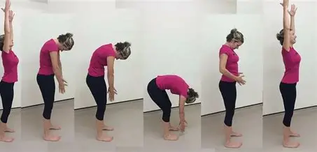 રોલ ડાઉન્સ