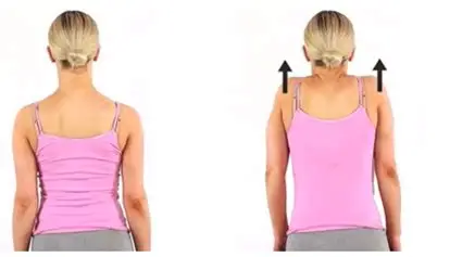 શોલ્ડર શ્રગ્સ (Shoulder Shrugs)