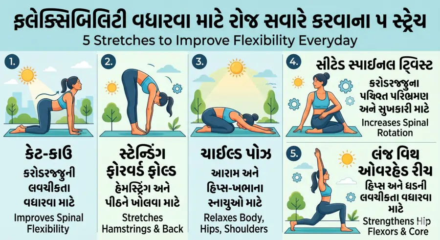 ફ્લેક્સિબિલિટી વધારવા માટે રોજ સવારે કરવાના ૫ સ્ટ્રેચ
