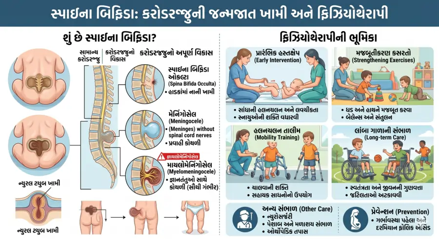 સ્પાઇના બિફિડા કરોડરજ્જુની જન્મજાત ખામી અને ફિઝિયોથેરાપી