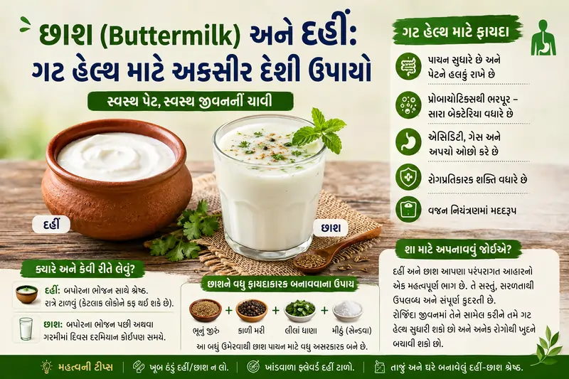 છાશ (Buttermilk) અને દહીં ગટ હેલ્થ માટે અકસીર દેશી ઉપાયો