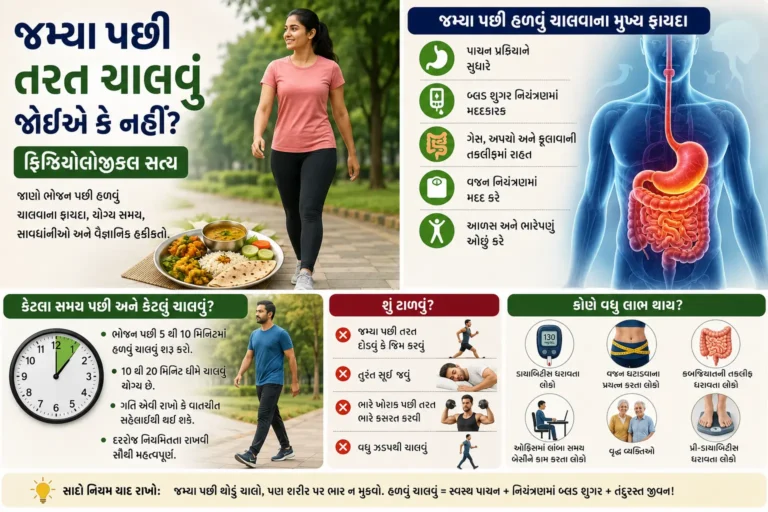 જમ્યા પછી તરત ચાલવા જવું જોઈએ કે નહીં ફિઝિયોલોજીકલ સત્ય.