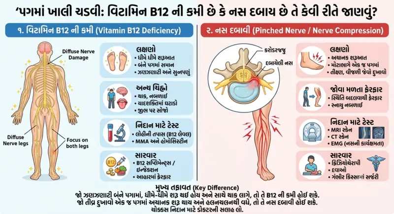 પગમાં ખાલી ચડવી વિટામિન B12 ની કમી છે કે નસ દબાય છે તે કેવી રીતે જાણવું