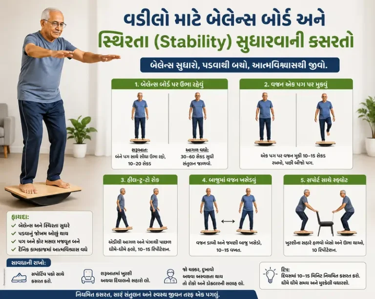 વડીલો માટે બેલેન્સ બોર્ડ અને સ્થિરતા(Stability) સુધારવાની કસરતો