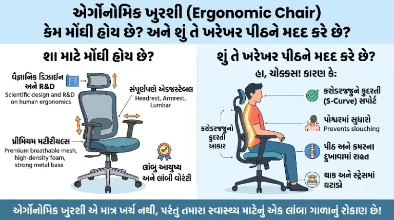 એર્ગોનોમિક ખુરશી (Ergonomic Chair) કેમ મોંઘી હોય છે શું તે ખરેખર પીઠને મદદ કરે છે