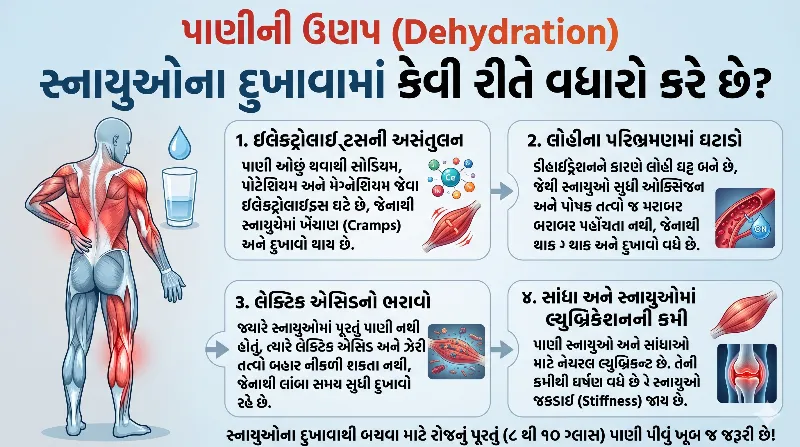 પાણીની ઉણપ (Dehydration) સ્નાયુઓના દુખાવામાં કેવી રીતે વધારો કરે છે