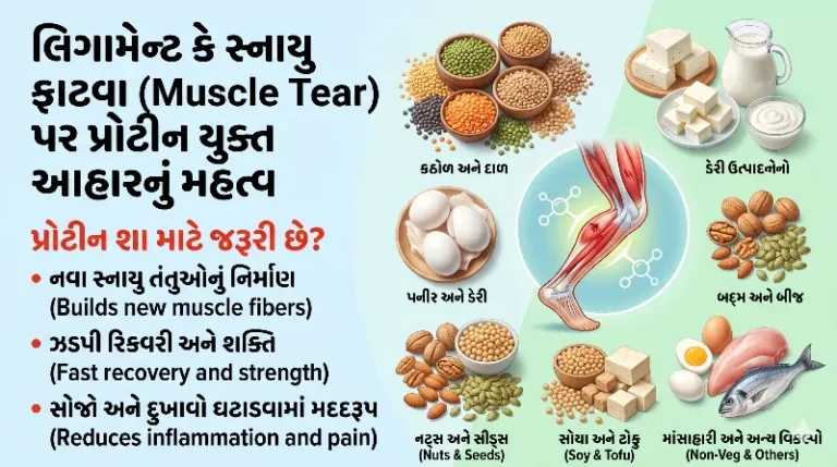 લિગામેન્ટ કે સ્નાયુ ફાટવા (Muscle Tear) પર પ્રોટીન યુક્ત આહારનું મહત્વ.